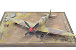1:48 Spitfire MK VIII - 81 Sqn Eduard