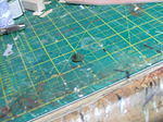 DSCF7359.JPG